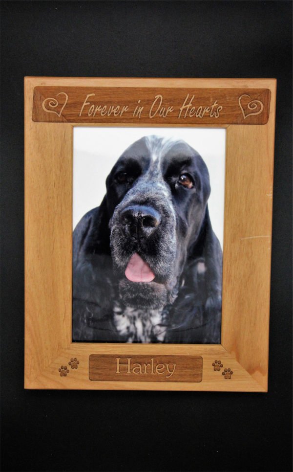 forever in our hearts dog frame